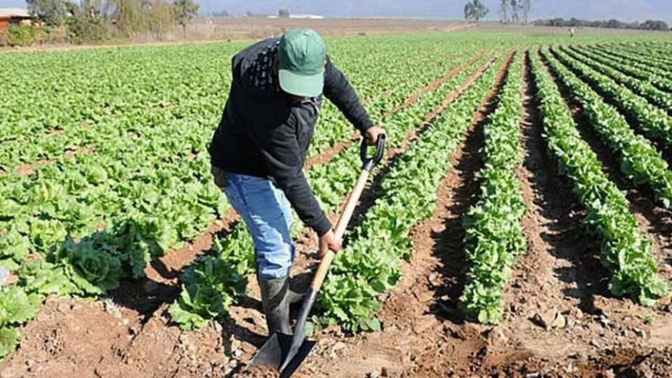 agricultores-PAC