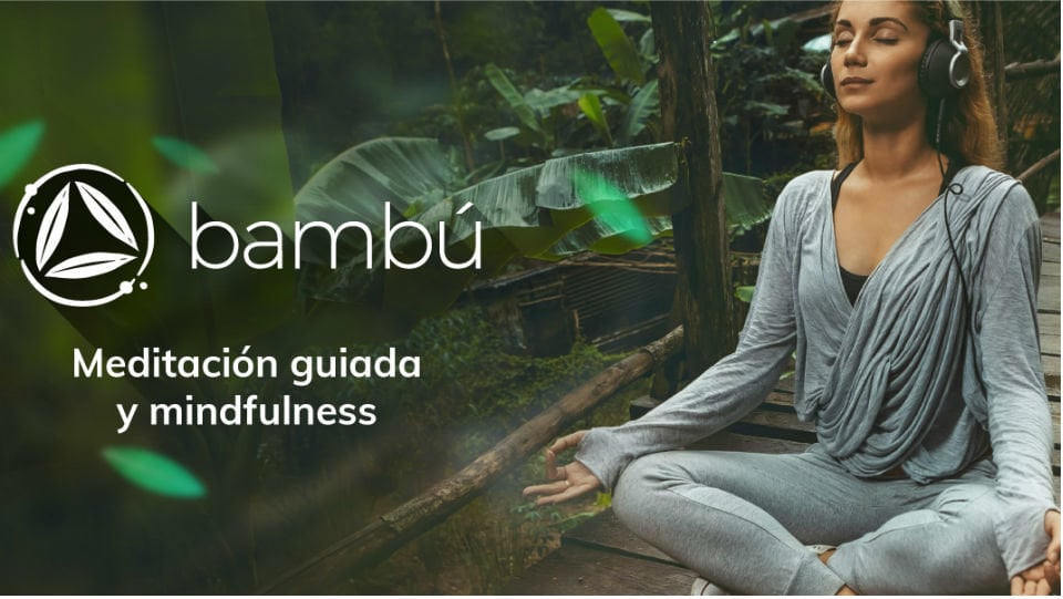 Bambú_Meditación