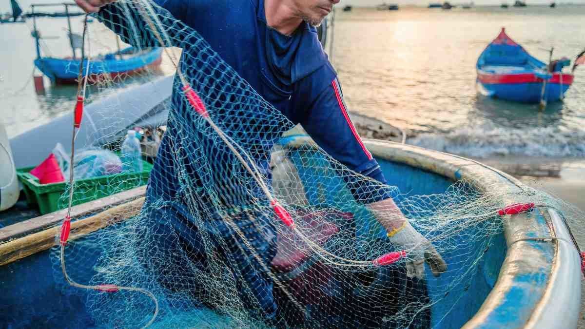 Los pescadores piden la eliminación del IVA de sus productos.