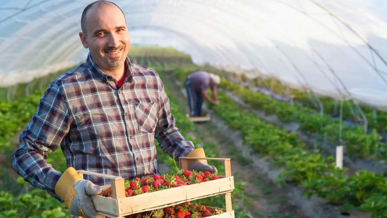 Imagen de un agricultor aut&oacute;nomo. Los aut&oacute;nomos del campo podr&aacute;n excluir el IVA para calcular si cumplen con el l&iacute;mite de m&oacute;dulos.