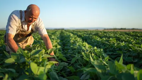 Murcia abre una l&iacute;nea de 24 millones de euros para impulsar la innovaci&oacute;n del sector agroalimentario.