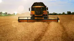 tractor campo trigo
