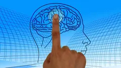 cerebro