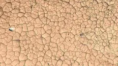 Los aut&oacute;nomos del campo pueden aplazar el pago de su cuota a un inter&eacute;s del 0,5% por la sequ&iacute;a