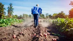 Asaja pide a Hacienda que publique la rebaja de m&oacute;dulos agrarios y recomienda a los agricultores no presentar todav&iacute;a la Renta