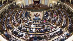 El Congreso de los Diputados durante la votaci&oacute;n de la rebaja fiscal a las microempresas y las pymes, este jueves, 19 de diciembre.